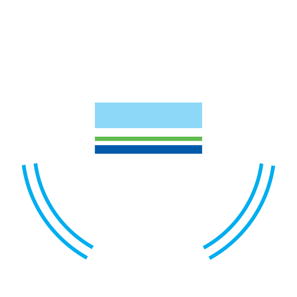 DNV_IT_ManagementSysCert_ISO_9001_light